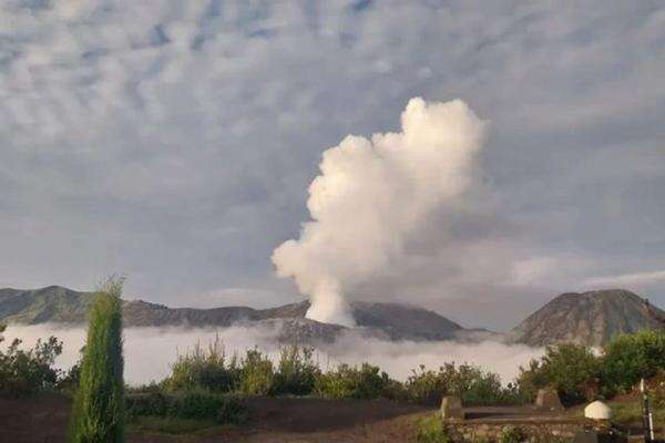 Kebakaran Makin Meluas, Wisata Gunung Bromo Ditutup Total Kebakaran Makin Meluas, Wisata Gunung Bromo Ditutup Total