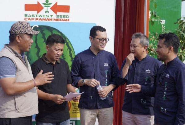 Sektor Hortikultura Masih Menjanjikan, Lampung Jadi Sentra Produksi Semangka Sektor Hortikultura Masih Menjanjikan, Lampung Jadi Sentra Produksi Semangka