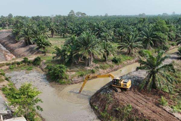Percepat Intrusi Air Laut, KemenPU Selamatkan 8.000 Ha Sawah Cegah Gagal Panen Percepat Intrusi Air Laut, KemenPU Selamatkan 8.000 Ha Sawah Cegah Gagal Panen