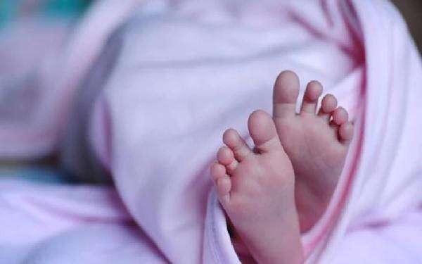Kronologi Penemuan Bayi Laki-Laki dalam Tas Hitam di Palmerah, Berawal dari Suara Tangisan Kronologi Penemuan Bayi Laki-Laki dalam Tas Hitam di Palmerah, Berawal dari Suara Tangisan