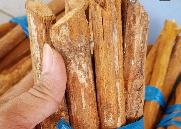 8 Manfaat Kayu Bajakah Bagi Kesehatan dan Cara Mengolah, Simak! 8 Manfaat Kayu Bajakah Bagi Kesehatan dan Cara Mengolah, Simak!
