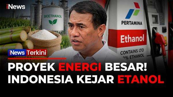 2 Juta Hektare Lahan Disiapkan! Pemerintah Genjot Produksi Etanol dari Tebu, Jagung dan Singkong 2 Juta Hektare Lahan Disiapkan! Pemerintah Genjot Produksi Etanol dari Tebu, Jagung dan Singkong