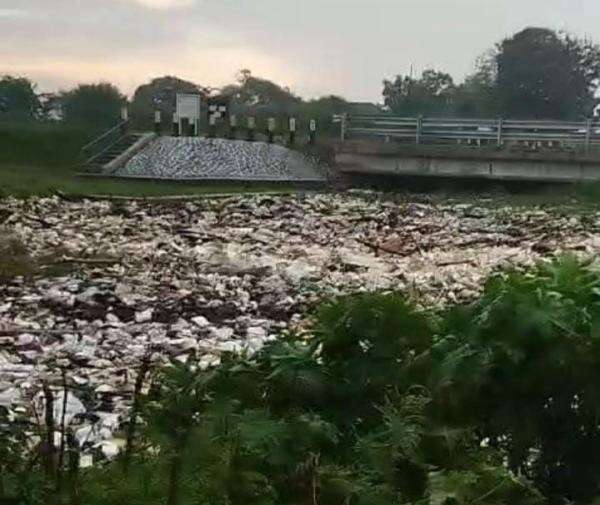 Irigasi Karanggelam Cikampek Dipadati Sampah Kiriman Irigasi Karanggelam Cikampek Dipadati Sampah Kiriman
