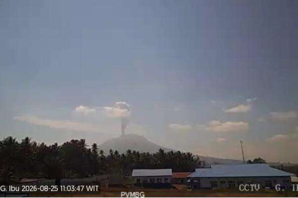 Gunung Ibu Erupsi, Muntahkan Kolom Abu Vulkanis Setinggi 1 Km Gunung Ibu Erupsi, Muntahkan Kolom Abu Vulkanis Setinggi 1 Km