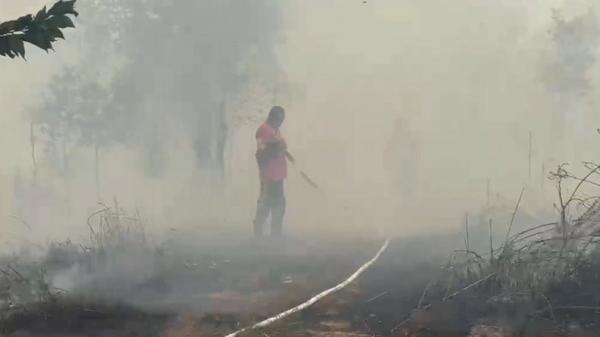 2 Pria di Palangka Raya Ditangkap usai Nekat Bakar Lahan Pakai Korek Gas 2 Pria di Palangka Raya Ditangkap usai Nekat Bakar Lahan Pakai Korek Gas