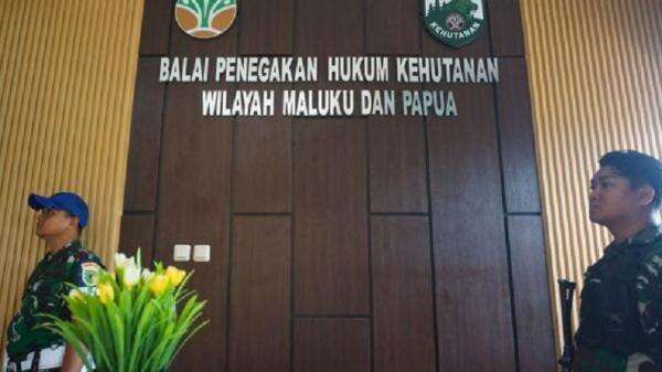 Geledah Kantor Gakkum KLHK, Kejati Papua Barat Usut Dugaan Korupsi Anggaran Rp50 Miliar Geledah Kantor Gakkum KLHK, Kejati Papua Barat Usut Dugaan Korupsi Anggaran Rp50 Miliar