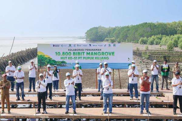 Komitmen Berkelanjutan, Tracon Industri Kolaborasi Tanam 500 Mangrove di Karawang Komitmen Berkelanjutan, Tracon Industri Kolaborasi Tanam 500 Mangrove di Karawang