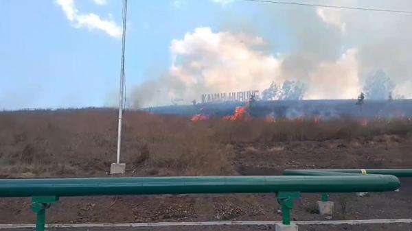 Padang Savana Kawah Wurung Bondowoso Terbakar, Api Cepat Merambat Padang Savana Kawah Wurung Bondowoso Terbakar, Api Cepat Merambat