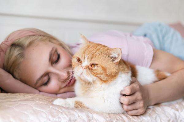 Tidur bareng Hewan Kesayangan, Aman Nggak Sih? Tidur bareng Hewan Kesayangan, Aman Nggak Sih?