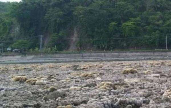 Gempa Dahsyat M7,8 Filipina, Warga Syok Dasar Laut kini Jadi Daratan Gempa Dahsyat M7,8 Filipina, Warga Syok Dasar Laut kini Jadi Daratan