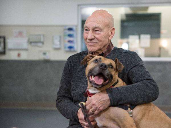 Apa Itu Demensia Lewy Body, Penyakit yang Diidap Sir Patrick Stewart sebelum Tutup Usia? Apa Itu Demensia Lewy Body, Penyakit yang Diidap Sir Patrick Stewart sebelum Tutup Usia?