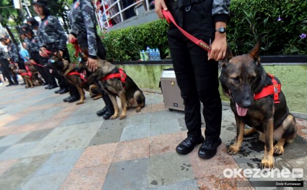 Viral! Gaji Anjing K-9 di SCBD Jakarta Mencapai Rp15 Juta melebihi UMR DKI Jakarta Viral! Gaji Anjing K-9 di SCBD Jakarta Mencapai Rp15 Juta melebihi UMR DKI Jakarta