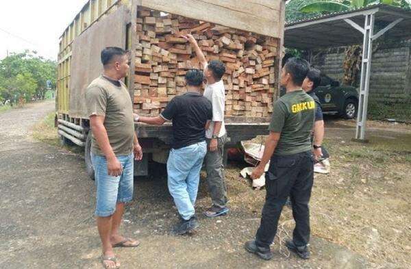 Kemenhut Tangkap Pelaku Pembalakan Liar di TNBT Jambi, Sudah Belasan Kali Angkut Kayu Kemenhut Tangkap Pelaku Pembalakan Liar di TNBT Jambi, Sudah Belasan Kali Angkut Kayu