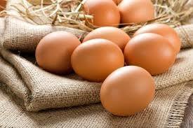 IDAI Ingatkan Bahaya Telur Mentah untuk Bayi, Risiko Infeksi dari Salmonella IDAI Ingatkan Bahaya Telur Mentah untuk Bayi, Risiko Infeksi dari Salmonella
