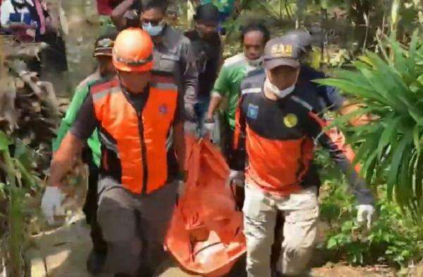 Dramatis! Kakek di Purbalingga Tewas di Atas Pohon Kelapa Setinggi 15 Meter Dramatis! Kakek di Purbalingga Tewas di Atas Pohon Kelapa Setinggi 15 Meter