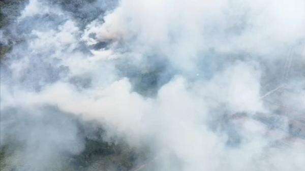 Karhutla di Bantuas Samarinda Masih Membara, Petugas Kesulitan Jangkau Titik Api Karhutla di Bantuas Samarinda Masih Membara, Petugas Kesulitan Jangkau Titik Api