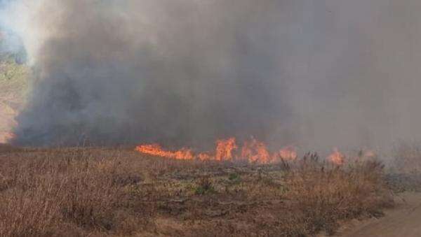 Kebakaran Meluas, Seluruh Akses Wisata ke Gunung Bromo Ditutup Kebakaran Meluas, Seluruh Akses Wisata ke Gunung Bromo Ditutup