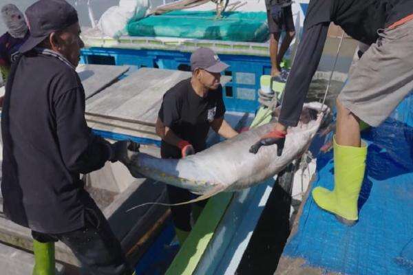 Setkab Dokumentasikan Pengembangan Kampung Nelayan Merah Putih di Sinjai Setkab Dokumentasikan Pengembangan Kampung Nelayan Merah Putih di Sinjai