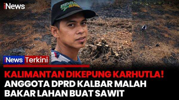 Karhutla Kepung Kalimantan! Anggota DPRD Mempawah Diduga Bakar Lahan untuk Sawit, Polisi Langsung Olah TKP Karhutla Kepung Kalimantan! Anggota DPRD Mempawah Diduga Bakar Lahan untuk Sawit, Polisi Langsung Olah TKP