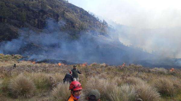 Karhutla Bromo Meluas hingga 742,70 Hektare, Kawasan Wisata Masih Ditutup Karhutla Bromo Meluas hingga 742,70 Hektare, Kawasan Wisata Masih Ditutup