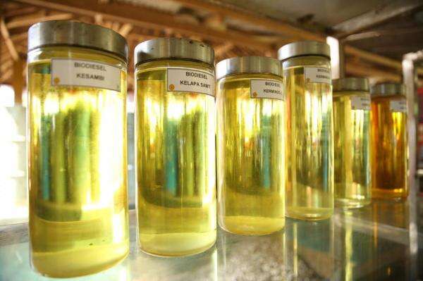 Kejar E20, Produksi Bioetanol Lampung Ditargetkan 60 Ribu Kl Kejar E20, Produksi Bioetanol Lampung Ditargetkan 60 Ribu Kl