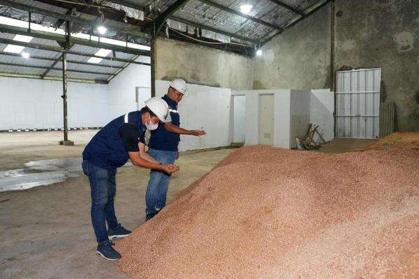 Ekosistem Hidrogen Rendah Karbon di RI Diperkuat, Ini Caranya Ekosistem Hidrogen Rendah Karbon di RI Diperkuat, Ini Caranya