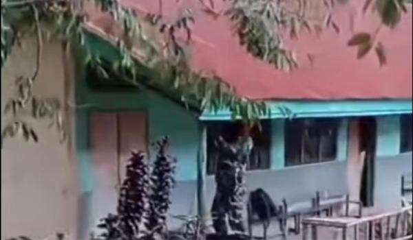 Viral Sekolah di NTT Disebut Digusur demi Kopdes, Ini Penjelasan TNI Viral Sekolah di NTT Disebut Digusur demi Kopdes, Ini Penjelasan TNI