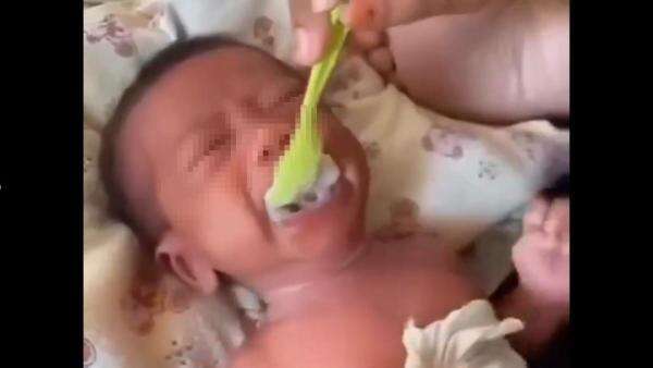 Viral Bayi 2 Minggu Dipaksa Makan Bubur, Bikin Dokter Marah Banget! Viral Bayi 2 Minggu Dipaksa Makan Bubur, Bikin Dokter Marah Banget!
