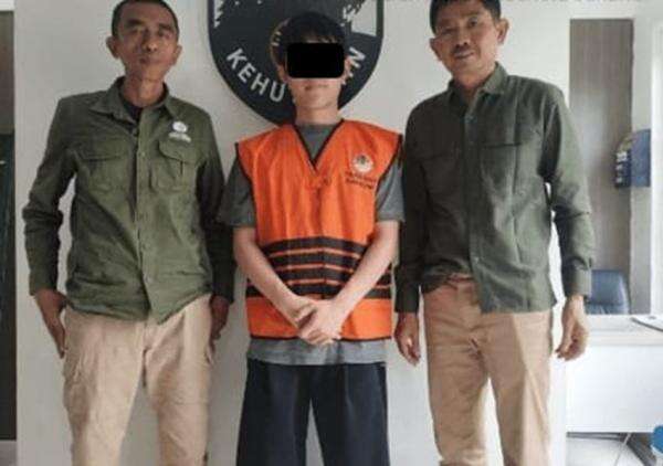 Penyelundupan 8 Biawak ke Seoul Digagalkan Kemenhut, WN Korea Jadi Tersangka Penyelundupan 8 Biawak ke Seoul Digagalkan Kemenhut, WN Korea Jadi Tersangka