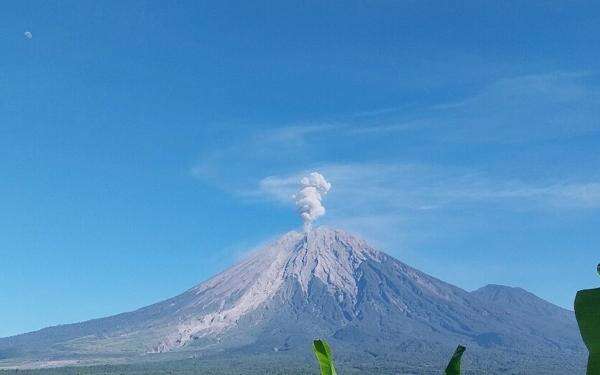 Gunung Semeru Erupsi Pagi Ini, Luncurkan Abu Vulkanik Setinggi 1.000 Meter Gunung Semeru Erupsi Pagi Ini, Luncurkan Abu Vulkanik Setinggi 1.000 Meter