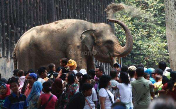 Tiket TMS Ragunan Diusulkan Jadi Rp10 Ribu karena Tak Pernah Naik Selama 20 Tahun Tiket TMS Ragunan Diusulkan Jadi Rp10 Ribu karena Tak Pernah Naik Selama 20 Tahun