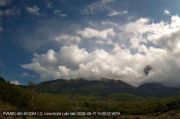 Gunung Lewotobi Laki-laki Erupsi, Kolom Abu Capai Ketinggian 600 Meter Gunung Lewotobi Laki-laki Erupsi, Kolom Abu Capai Ketinggian 600 Meter