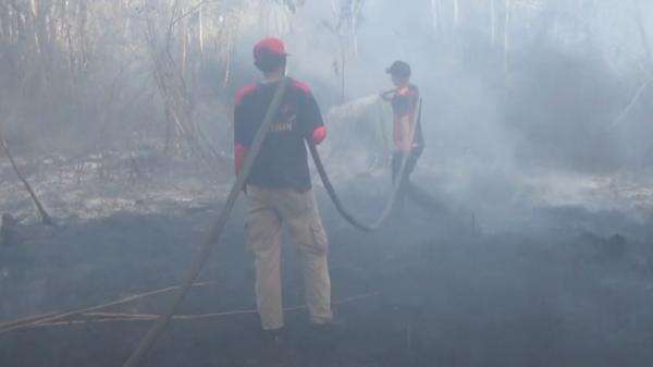 Kebakaran Hutan dan Lahan di Kotawaringin Timur Meluas hingga 1.207 Hektare Kebakaran Hutan dan Lahan di Kotawaringin Timur Meluas hingga 1.207 Hektare