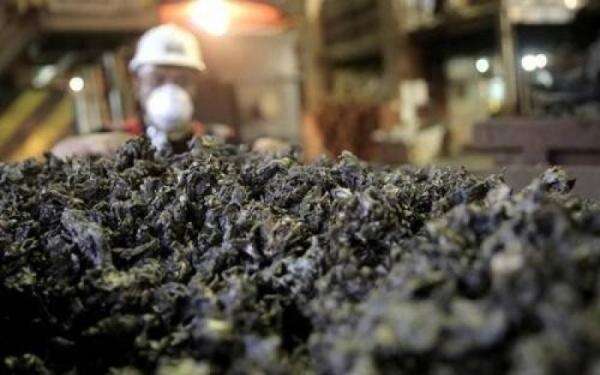 Harga Nikel Tertekan, 4 Perusahaan China Pertimbangkan Pengurangan Produksi di RI Harga Nikel Tertekan, 4 Perusahaan China Pertimbangkan Pengurangan Produksi di RI
