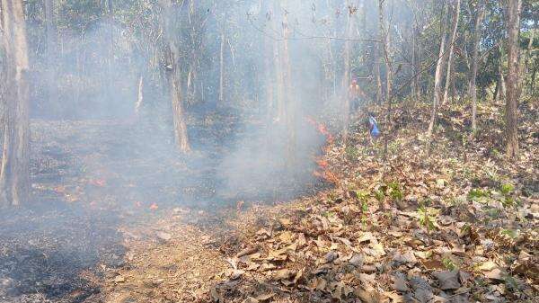BNPB Catat Karhutla di 5 Daerah, Minahasa Utara Terluas Capai 60 Hektare BNPB Catat Karhutla di 5 Daerah, Minahasa Utara Terluas Capai 60 Hektare