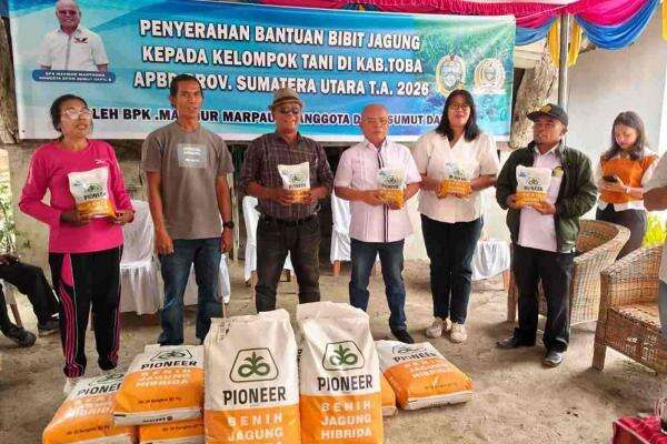 Kawal Aspirasi Petani Toba, Makmur Marpaung Salurkan 1 Ton Lebih Benih Jagung Kawal Aspirasi Petani Toba, Makmur Marpaung Salurkan 1 Ton Lebih Benih Jagung