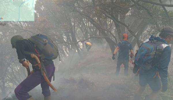 Karhutla Gunung Gede Pangrango Hanguskan 5 Hektare Lahan, Pendakian Ditutup! Karhutla Gunung Gede Pangrango Hanguskan 5 Hektare Lahan, Pendakian Ditutup!
