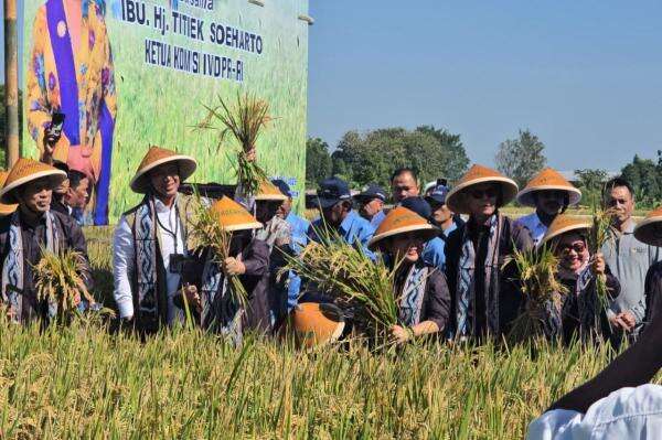 BULOG dan Komisi IV DPR Perkuat Sinergi Dukung Kesejahteraan Petani di Klaten BULOG dan Komisi IV DPR Perkuat Sinergi Dukung Kesejahteraan Petani di Klaten