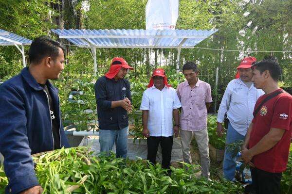 Wakil Bupati Aceh Tamiang: Kebun Harmoni Tumbuhkan Harapan Bagi Penyintas di Huntara Wakil Bupati Aceh Tamiang: Kebun Harmoni Tumbuhkan Harapan Bagi Penyintas di Huntara