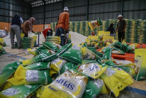 Bulog Pastikan El Nino dan Ekspor Beras ke Malaysia Tak Ganggu Pasokan dalam Negeri Bulog Pastikan El Nino dan Ekspor Beras ke Malaysia Tak Ganggu Pasokan dalam Negeri