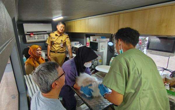 Penampakan Mobil Klinik Hewan Keliling di Jaksel, Layani 22 Kucing Penampakan Mobil Klinik Hewan Keliling di Jaksel, Layani 22 Kucing