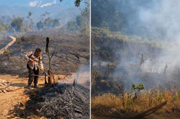 NASA Ungkap Fakta Mengejutkan: Api Kebakaran Indonesia Menyala di Bawah Tanah dan Sulit Padam NASA Ungkap Fakta Mengejutkan: Api Kebakaran Indonesia Menyala di Bawah Tanah dan Sulit Padam