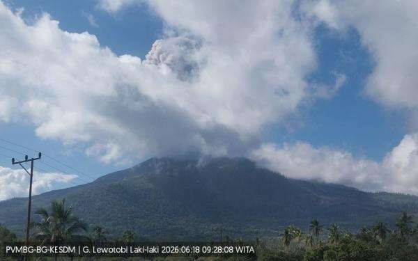Gunung Lewotobi Laki-laki Erupsi, Muntahkan Kolom Abu Tebal Setinggi 1.000 Meter Gunung Lewotobi Laki-laki Erupsi, Muntahkan Kolom Abu Tebal Setinggi 1.000 Meter