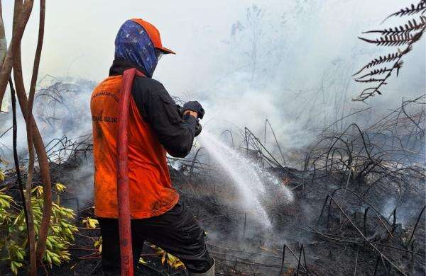 Karhutla Masih Dominasi Bencana, Riau Paling Luas Capai 18.882 Hektare Karhutla Masih Dominasi Bencana, Riau Paling Luas Capai 18.882 Hektare
