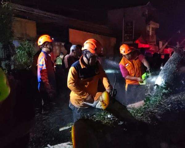 Pohon Tumbang Timpa 4 Kendaraan di Malang, 8 Orang Dievakuasi ke Rumah Sakit Pohon Tumbang Timpa 4 Kendaraan di Malang, 8 Orang Dievakuasi ke Rumah Sakit