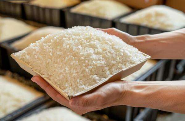 Amran Bongkar 25 Beras Fortifikasi Oplosan, DIjual hingga Rp57.000 per Kg! Amran Bongkar 25 Beras Fortifikasi Oplosan, DIjual hingga Rp57.000 per Kg!