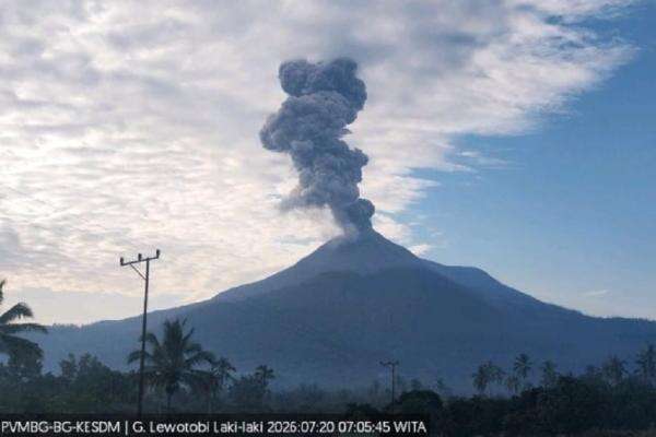 Gunung Lewotobi Laki-laki Erupsi Pagi Ini, Semburkan Abu Vulkanik 1.600 Meter Gunung Lewotobi Laki-laki Erupsi Pagi Ini, Semburkan Abu Vulkanik 1.600 Meter