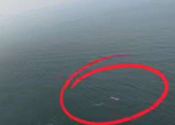 Viral Video Drone Dikaitkan dengan Kapal Jurnalis Hilang di Anak Krakatau, Ini Kata Tim SAR Viral Video Drone Dikaitkan dengan Kapal Jurnalis Hilang di Anak Krakatau, Ini Kata Tim SAR