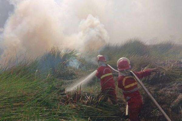 Kemenhut: 107.465 Hektare Hutan dan Lahan Ludes Terbakar Sepanjang 2026 Kemenhut: 107.465 Hektare Hutan dan Lahan Ludes Terbakar Sepanjang 2026