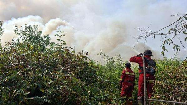 Kabut Asap Makin Parah, Sekolah di Pekanbaru dan Pelalawan Diliburkan Kabut Asap Makin Parah, Sekolah di Pekanbaru dan Pelalawan Diliburkan